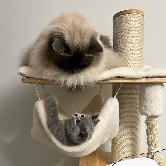 Lords and Labradors Cat Scratch Post Play Centre