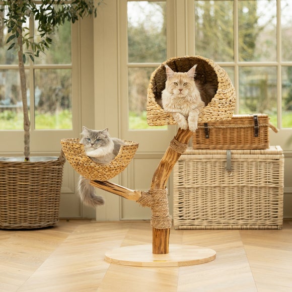 Lords and Labradors The Dome Cat Tree